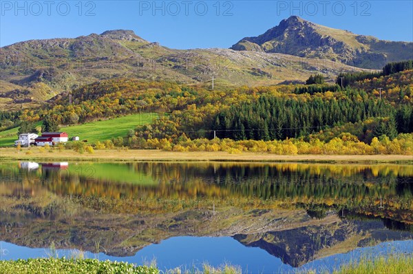 Quiet autumn landscape