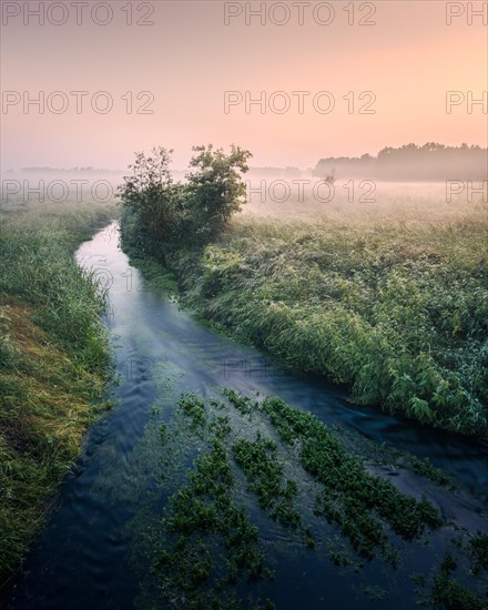 German floodplain landscape in Brandenburg on the Nuthe
