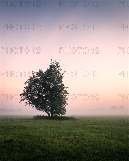 German floodplain landscape in Brandenburg