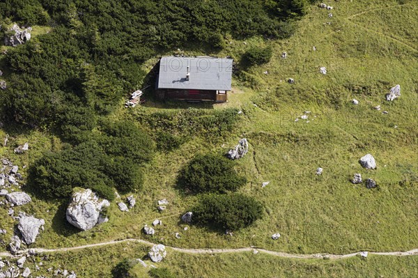 Lonely House