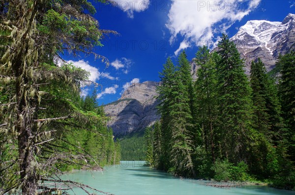 Glacial river with high mountains in the background