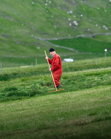 Farmer avenges cut grass together