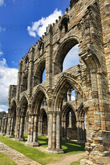 Ruins of Whitby Abbey Gothic Monastery