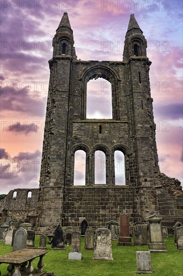 Ruined Cathedral