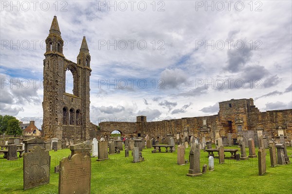 Ruined Cathedral and Graveyard