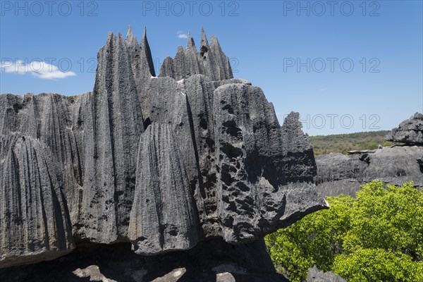 Rock needles