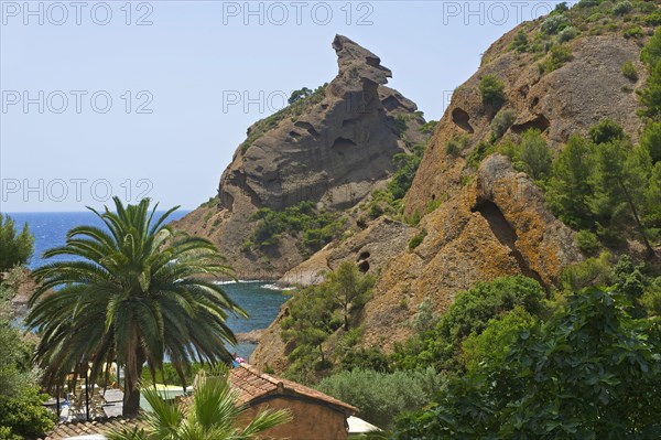 Calanque de Figuerolles