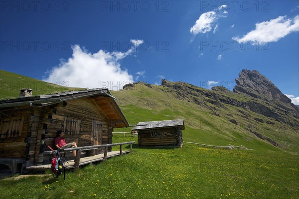 Alpine pasture on the Seceda with Geislerspitzen