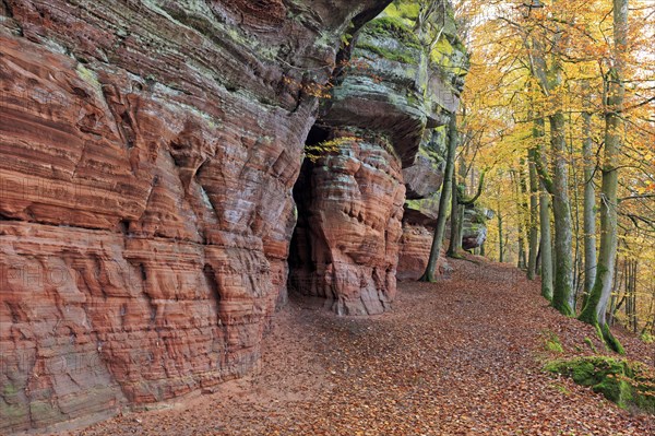 Natural Monument