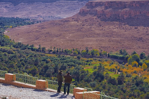 Tafilalet Oasis