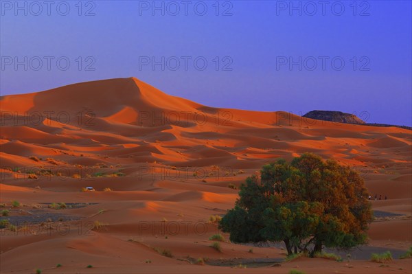 Merzouga