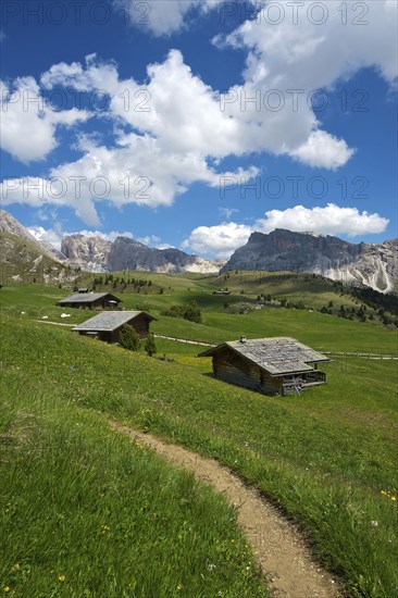 Alpine pasture on the Seceda