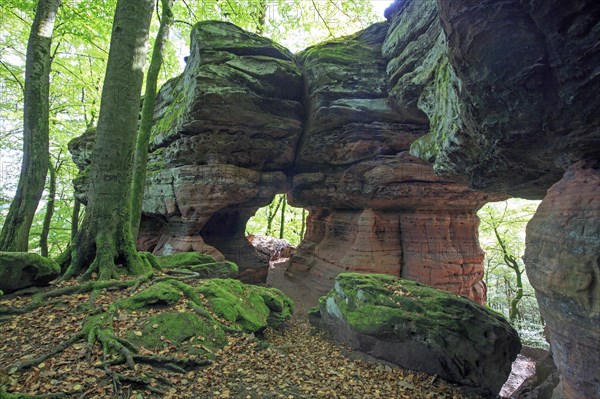 Old Castle Rock Natural Monument