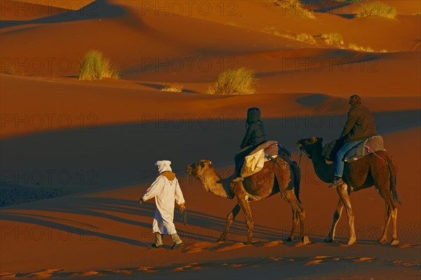 Merzouga