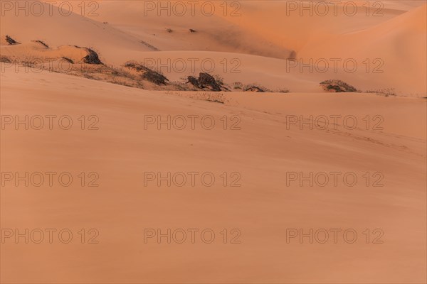 Red sand dunes of Mui Ne