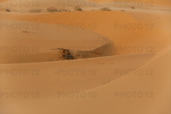 Red sand dunes of Mui Ne