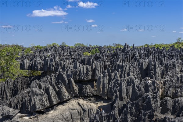 Karst landscape