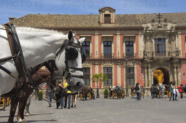 Archbishop's Palace at the Plaza del Triunfo