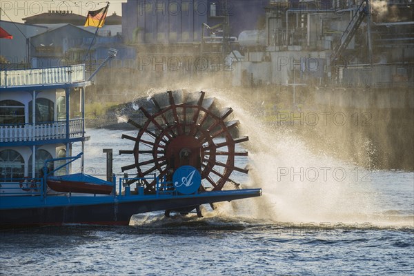 Paddle steamer Lousiana European Starling