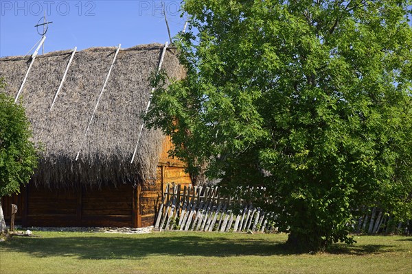 Bunge Museum