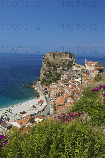 Scilla