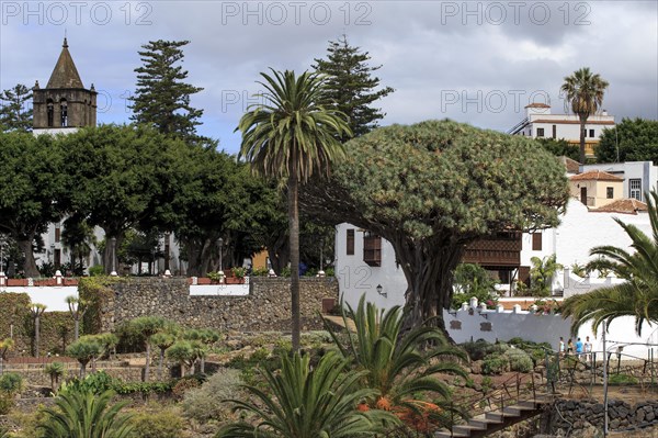 Tenerife