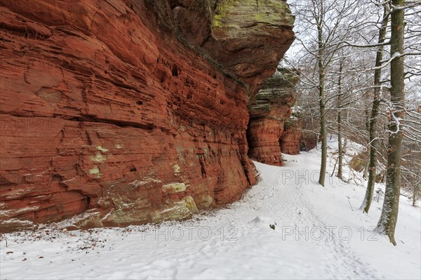 Natural Monument