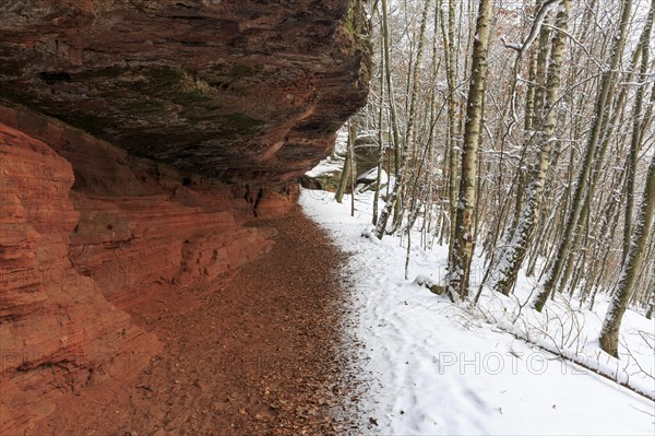 Natural Monument