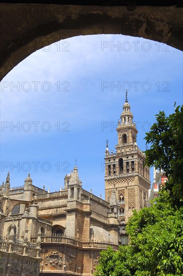 Cathedral and Giralda Tower