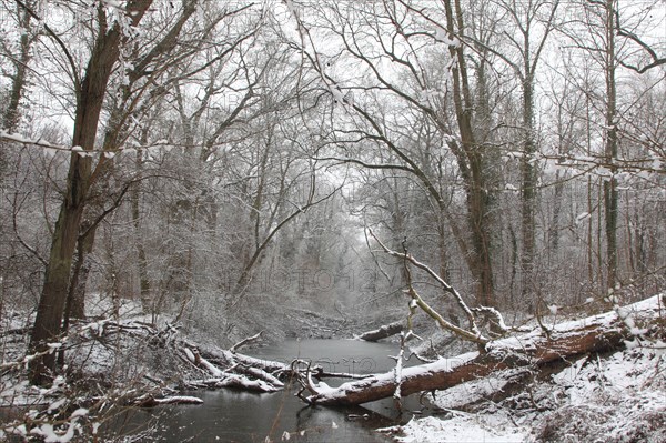 Floodplain