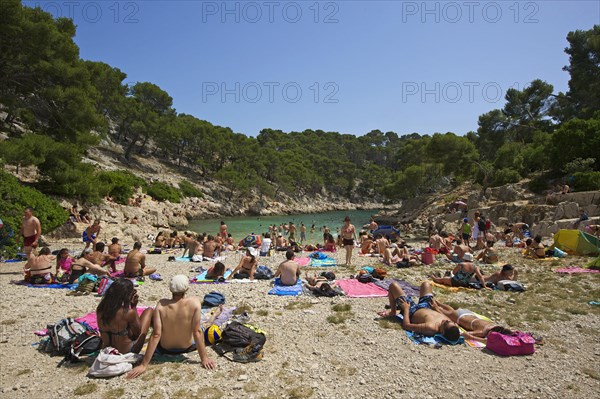 Calanque de Port-Pin