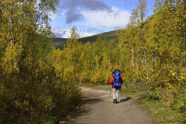 Trekking Nikkaluokta