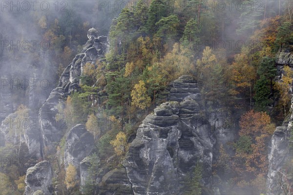 Pavilion view in the Bastei area