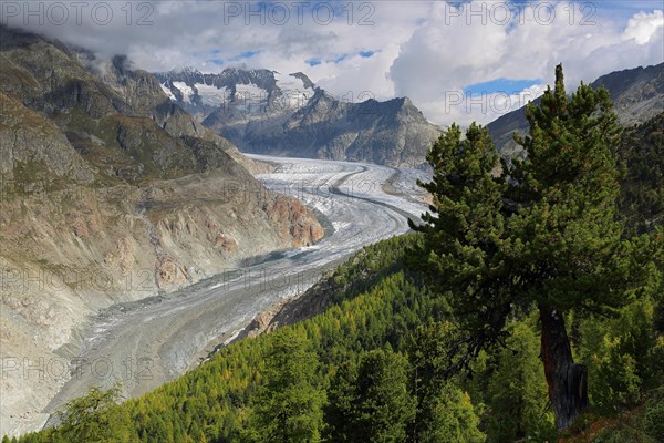 Aletsch Glacier