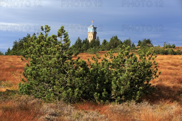 Black Forest National Park