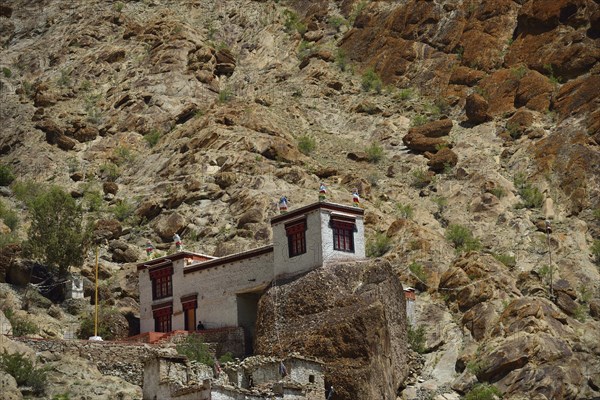 Hemis Festival