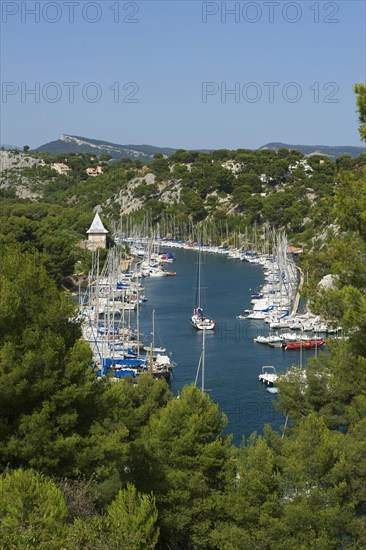 Marina in Calanque de port miou