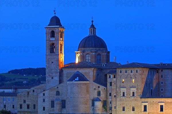 Urbino