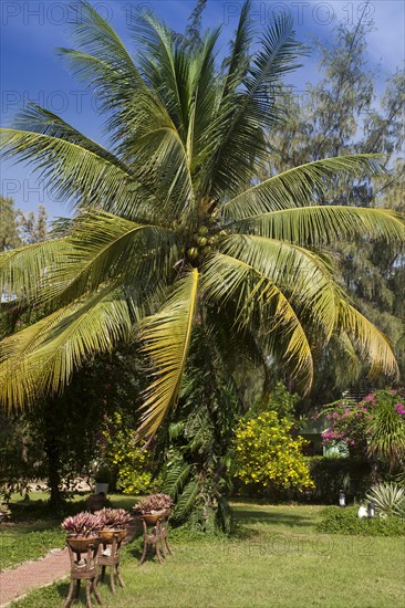 Garden of the Hotel Ninh Chu Resort