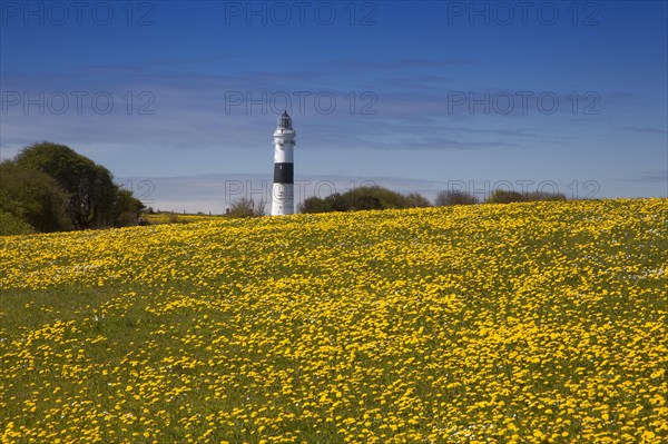 Red Cliff Lighthouse