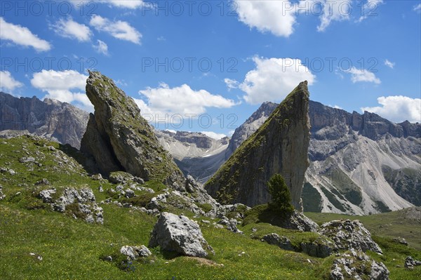 Malga-Alm below the Geislerspitzen