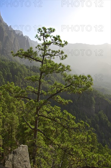 Parque Nacional de la Caldera de Taburiente