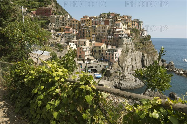 Manarola