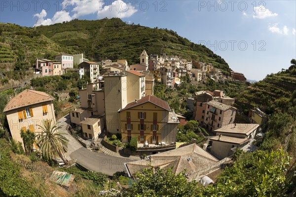 Manarola