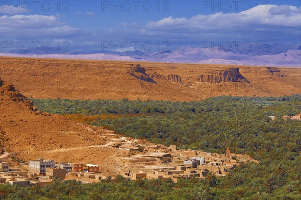 Tafilalet Oasis