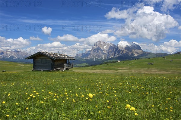 Alpine huts on the Alpe di Siusi with the Sella Group