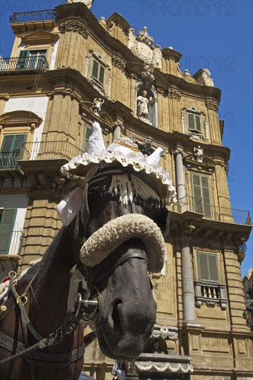 Horse-drawn carriage in Palermo