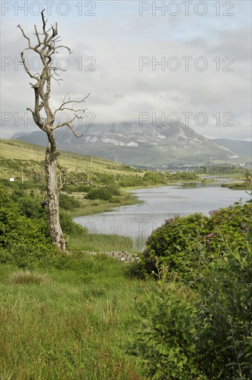 View of Mount Errigal from Gweedore