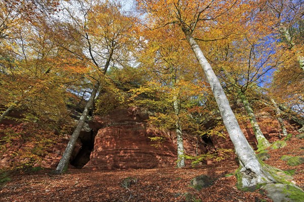 Natural Monument