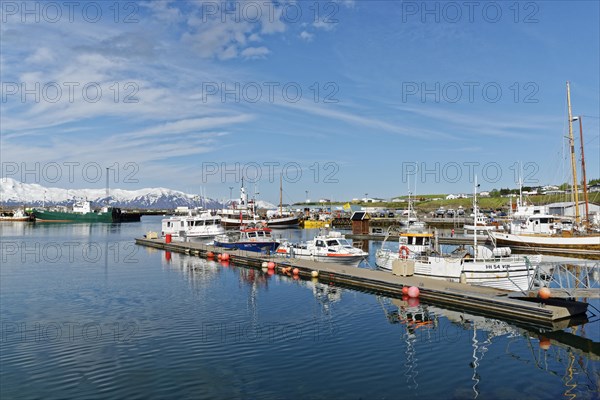 Fishing boats in the harbour of Husavik